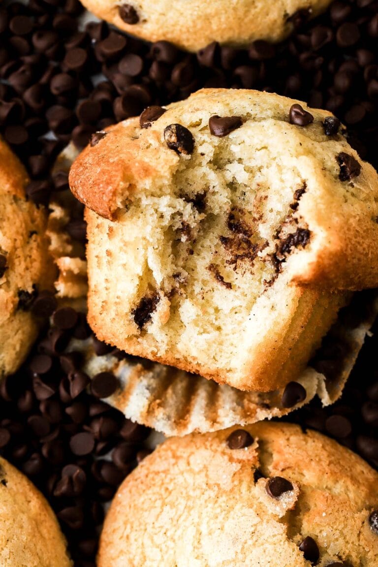 bite shot of a chocolate chip muffin